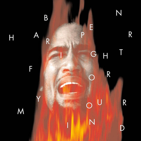 Ben Harper - Fight For Your Mind - The Funkadoobian