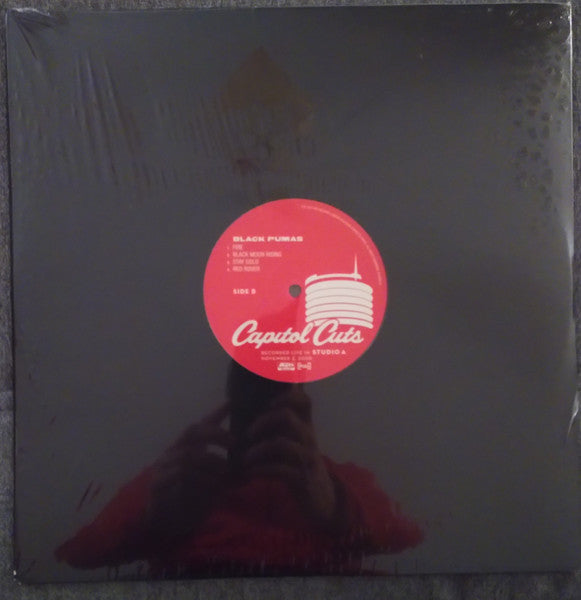 Black Pumas - Capitol Cuts - The Funkadoobian