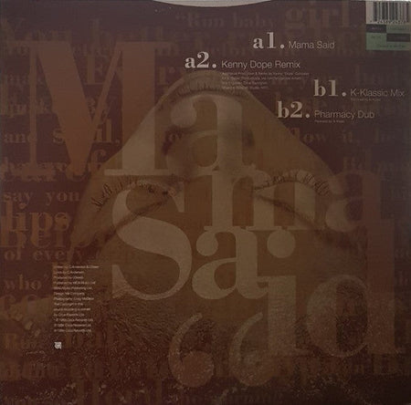 Carleen Anderson - Mama Said - The Funkadoobian