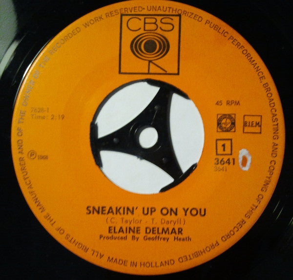 Elaine Delmar - Sneakin' Up On You - The Funkadoobian