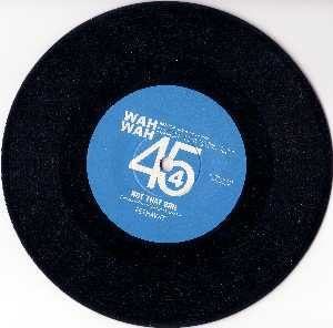 Fethawit / Richard Groove Holmes - Not That Girl / No Trouble On The Mountain - The Funkadoobian