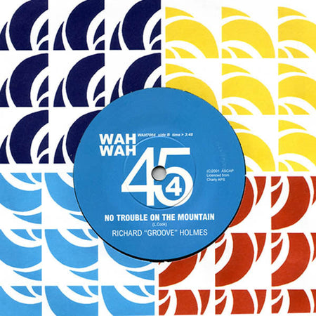 Fethawit / Richard Groove Holmes - Not That Girl / No Trouble On The Mountain - The Funkadoobian