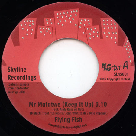 Flying Fish - Mr Matatwe / Armon's Theme - The Funkadoobian