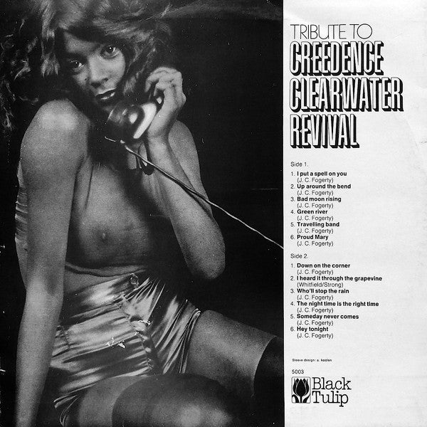 Fogarty Locomotive - Tribute To Creedence Clearwater Revival - The Funkadoobian