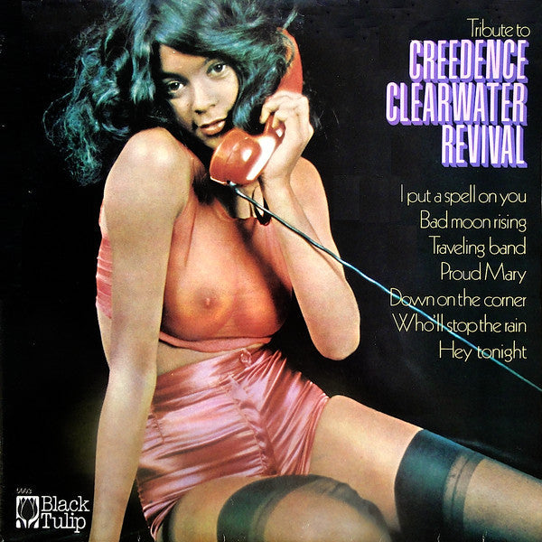 Fogarty Locomotive - Tribute To Creedence Clearwater Revival - The Funkadoobian