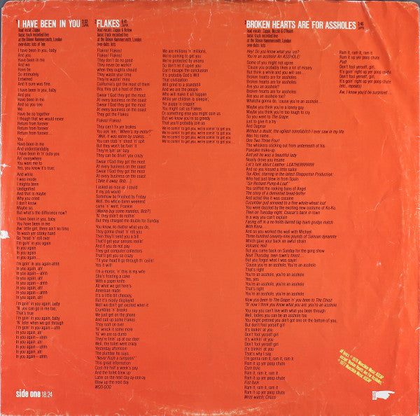 Frank Zappa - Sheik Yerbouti - The Funkadoobian