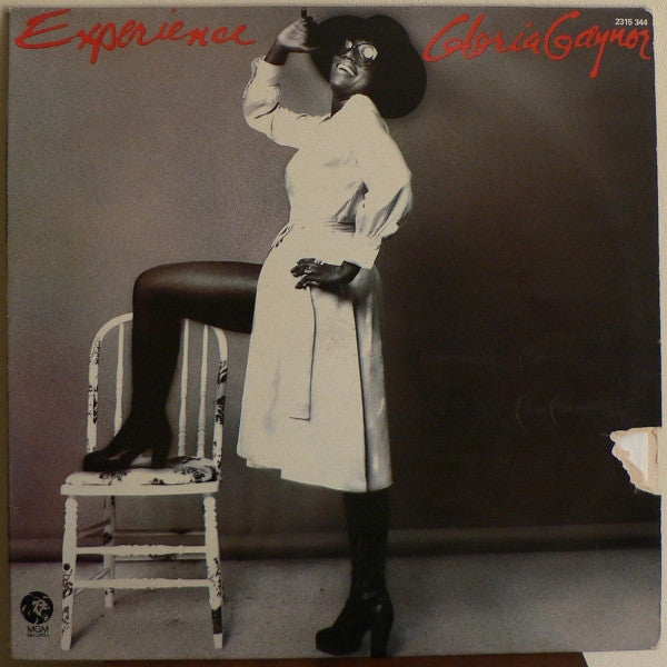Gloria Gaynor - Experience Gloria Gaynor - The Funkadoobian