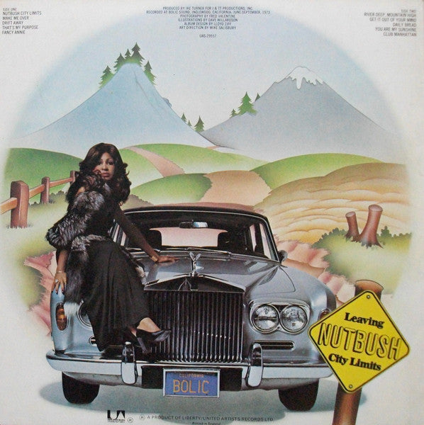 Ike & Tina Turner - Nutbush City Limits - The Funkadoobian