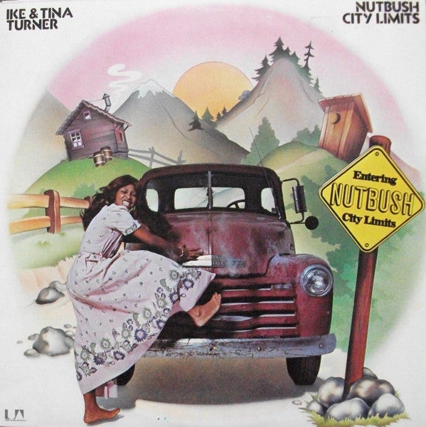 Ike & Tina Turner - Nutbush City Limits - The Funkadoobian