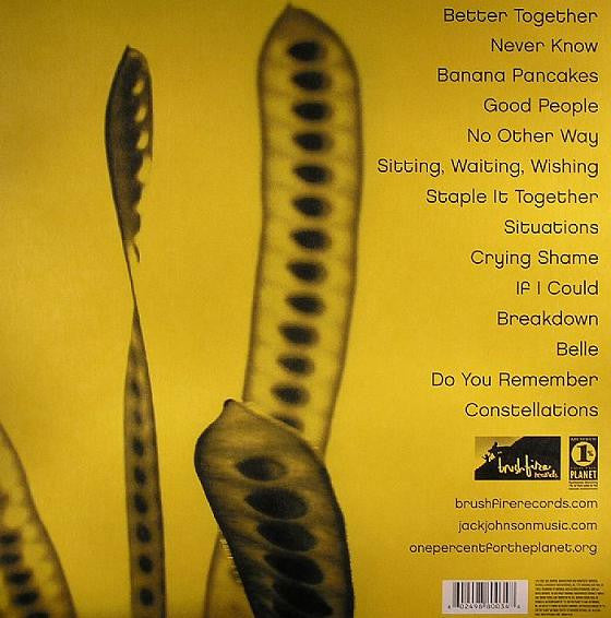 Jack Johnson - In Between Dreams - The Funkadoobian