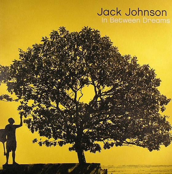 Jack Johnson - In Between Dreams - The Funkadoobian
