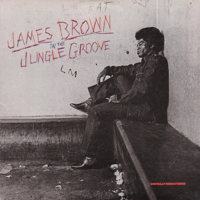 James Brown - In The Jungle Groove