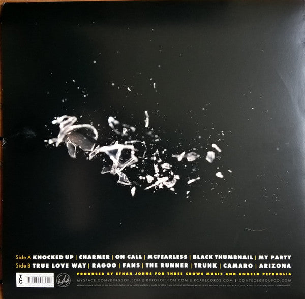 Kings Of Leon - Because Of The Times - The Funkadoobian