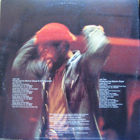 Marvin Gaye - Let's Get It On - The Funkadoobian