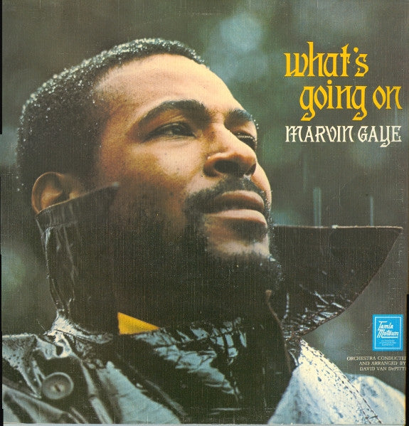 Marvin Gaye - What's Going On - The Funkadoobian