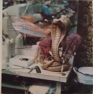 Muddy Waters - Electric Mud - The Funkadoobian