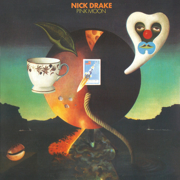 Nick Drake - Pink Moon - The Funkadoobian