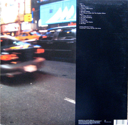 PJ Harvey - Stories From The City Stories From The Sea - The Funkadoobian