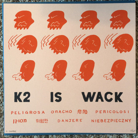 Parquet Courts - Human Performance - The Funkadoobian