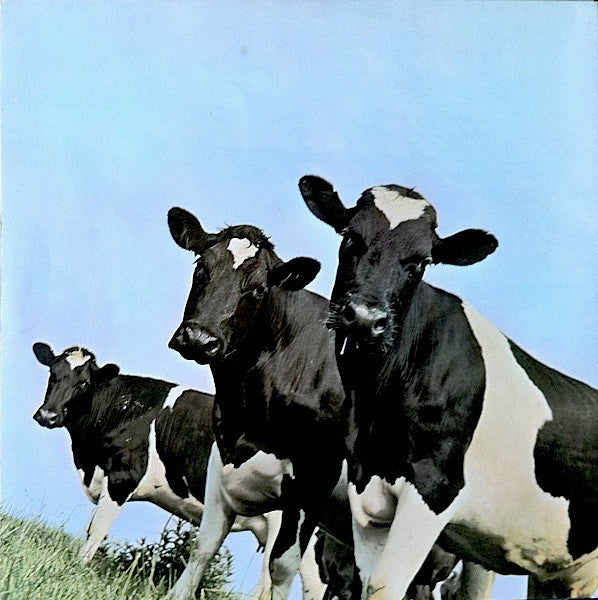 Pink Floyd - Atom Heart Mother - The Funkadoobian