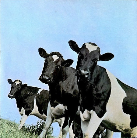 Pink Floyd - Atom Heart Mother - The Funkadoobian