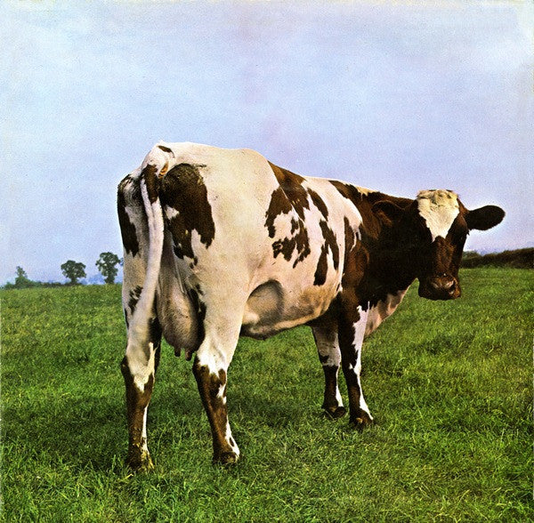 Pink Floyd - Atom Heart Mother - The Funkadoobian