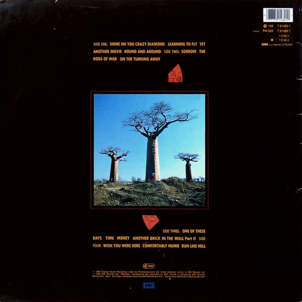 Pink Floyd - Delicate Sound Of Thunder - The Funkadoobian