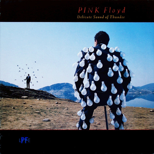 Pink Floyd - Delicate Sound Of Thunder - The Funkadoobian