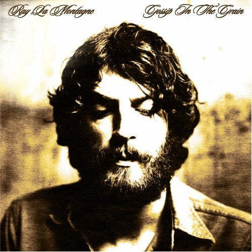 Ray Lamontagne - Gossip In The Grain - The Funkadoobian