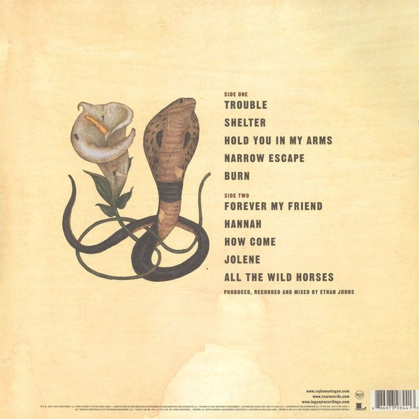 Ray Lamontagne - Trouble - The Funkadoobian