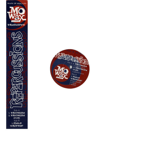 Repercussions - Promise - The Funkadoobian