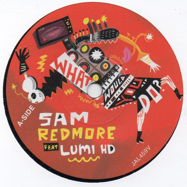 Sam Redmore - What Would You Do - The Funkadoobian
