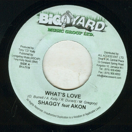 Shaggy Feat Akon - What's Love - The Funkadoobian