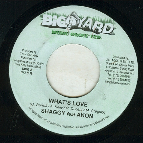 Shaggy Feat Akon - What's Love - The Funkadoobian