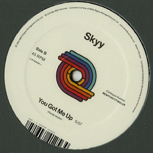 Skyy - Here's To You / You Got Me Up - The Funkadoobian