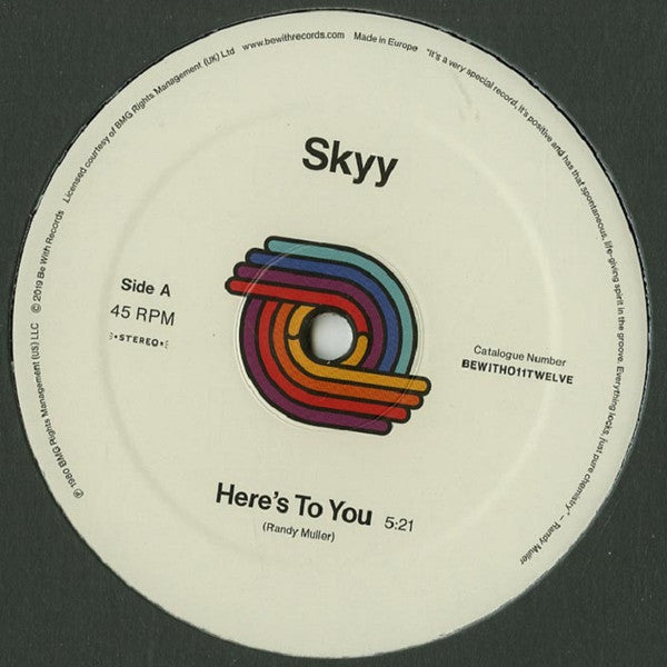 Skyy - Here's To You / You Got Me Up - The Funkadoobian