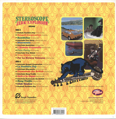 Stéréoscope Jerk Explosion - La Panthere Pop - The Funkadoobian
