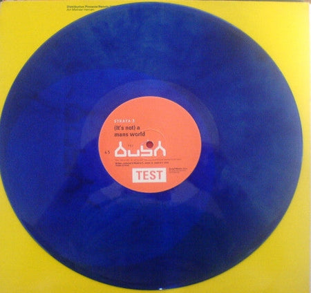 Strata 3 - (It's Not) A Mans World - The Funkadoobian