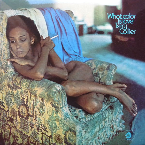 Terry Callier - What Color Is Love - The Funkadoobian
