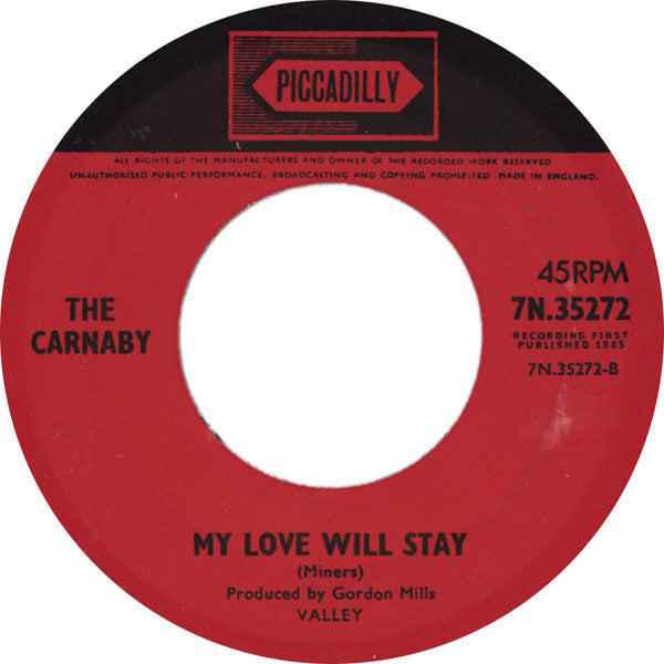 The Carnaby - Jump And Dance - The Funkadoobian