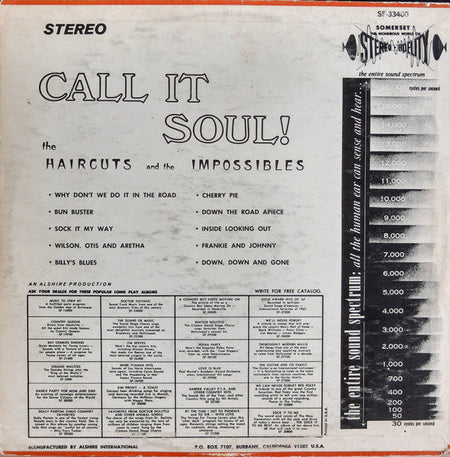 The Haircuts And The Impossibles - Call It Soul! - The Funkadoobian