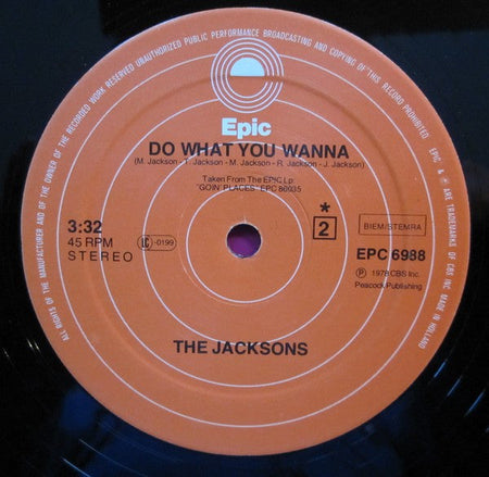 The Jacksons - Blame It On The Boogie - The Funkadoobian