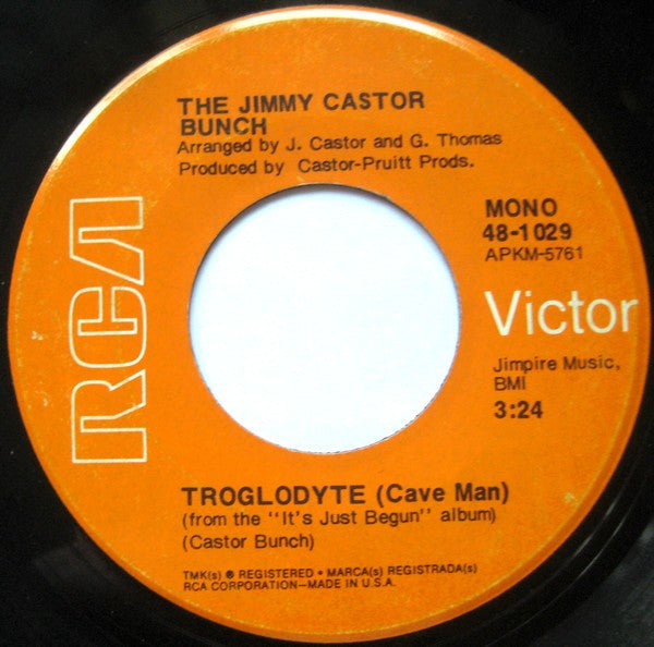 The Jimmy Castor Bunch - Troglodyte (Cave Man) - The Funkadoobian