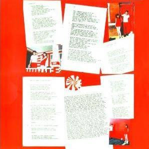The White Stripes - The White Stripes - The Funkadoobian
