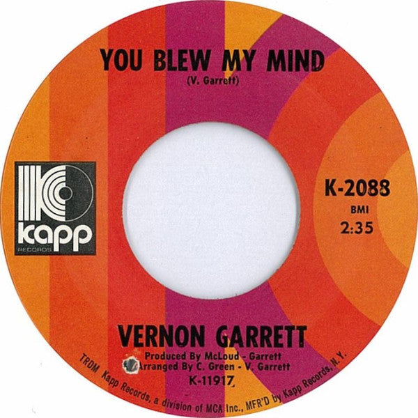 Vernon Garrett - We People In The Ghetto - The Funkadoobian