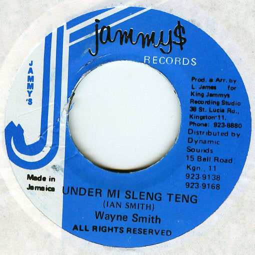 Wayne Smith - Under Mi Sleng Teng - The Funkadoobian